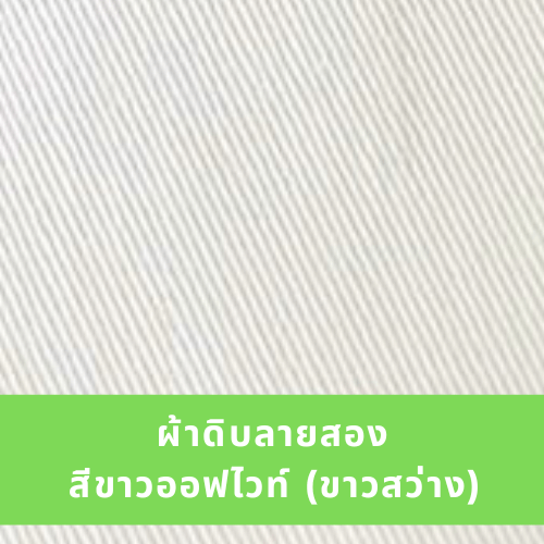 กระเป๋าผ้าดิบลายสอง